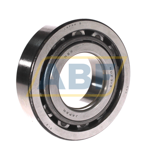 NUP313W NSK