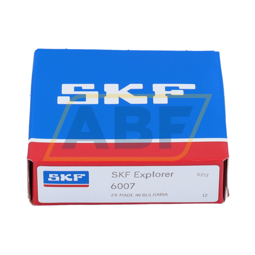 6007 SKF