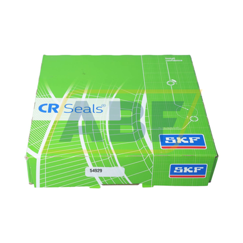 CR54929 SKF