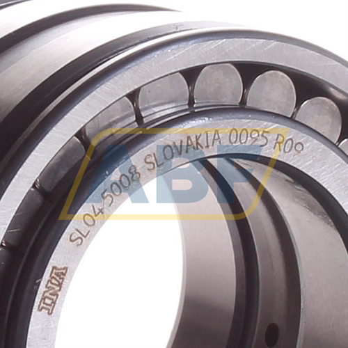 SL045008 INA