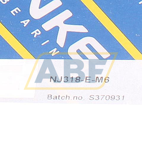 NJ318-E-M6 NKE