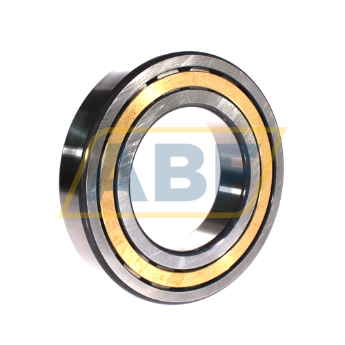 NJ219-E-XL-M1-C3 FAG