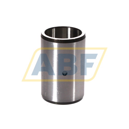 IR20X25X38,5-IS1-XL INA