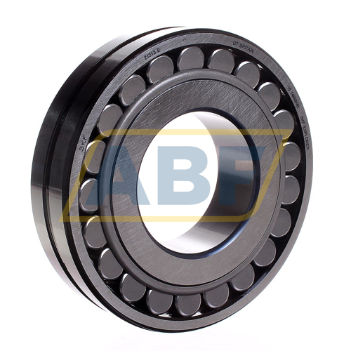 21313E SKF