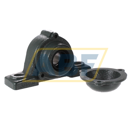 CM-UCP205D1 NTN
