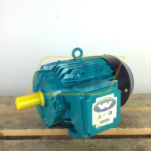 W-DF100LJ-B3 Brook Crompton