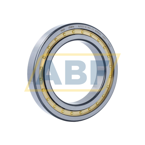 NJ1022-XL-M1A-C3 FAG