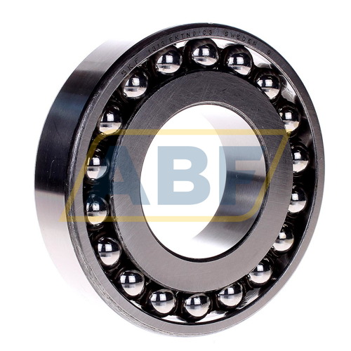 1313EKTN9/C3 SKF