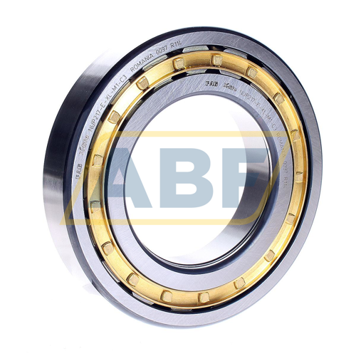 NUP217-E-XL-M1-C3 FAG