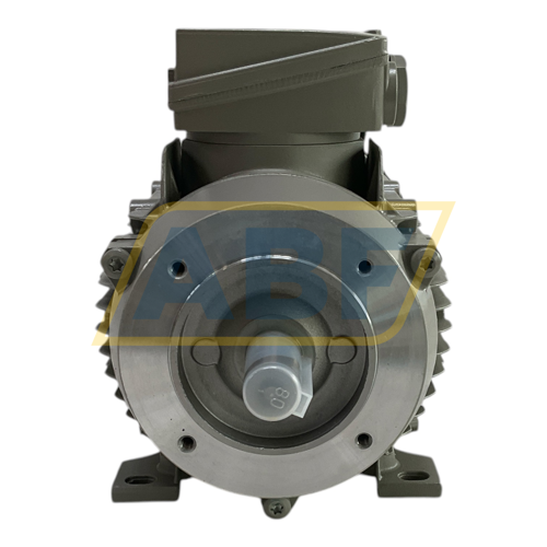 1LE1001-0DB62-2NA4-Z Siemens