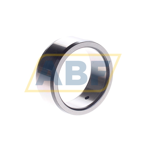 IR40X50X20-IS1-XL INA