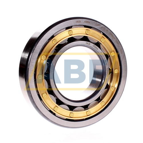 NJ309-E-XL-TVP2-C3 FAG