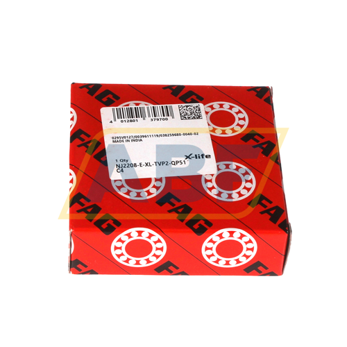 NJ2208-E-XL-TVP2-QP51-C4 FAG