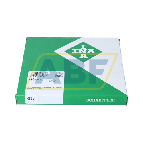 GS89317 INA