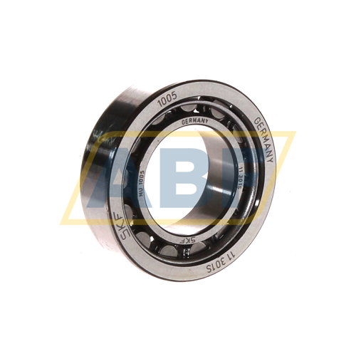 NU1005 SKF