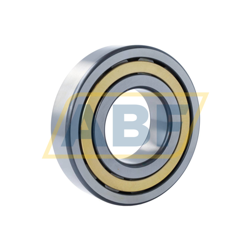 NJ314-E-XL-M1-F1-C4 FAG