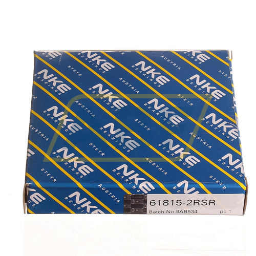 61815-2RSR NKE