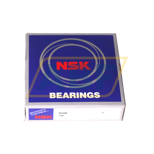 N209W NSK