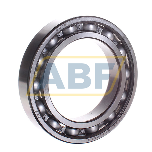 6016 SKF
