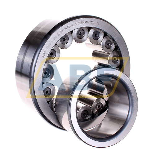 SL192318-TB-XL-C3 INA