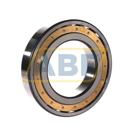 20217-MB-C3 FAG