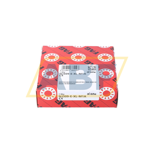 NJ309-E-XL-M1A-C4 FAG