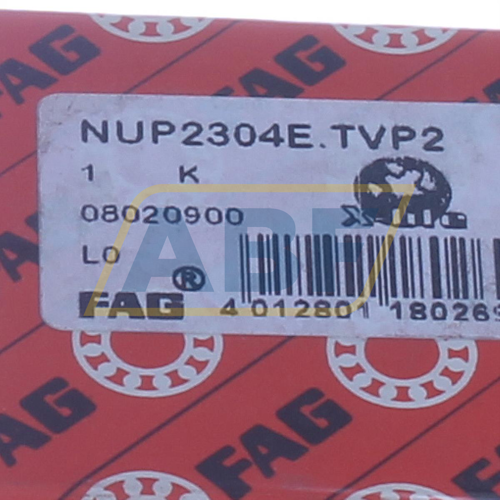 NUP2304E.TVP2 FAG