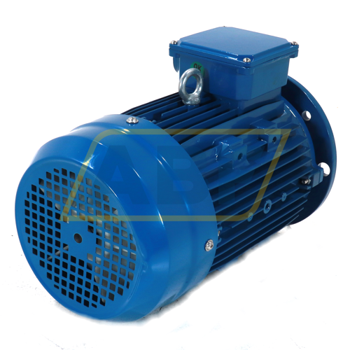 IE1-MSE100L1-4-B5R Cemp