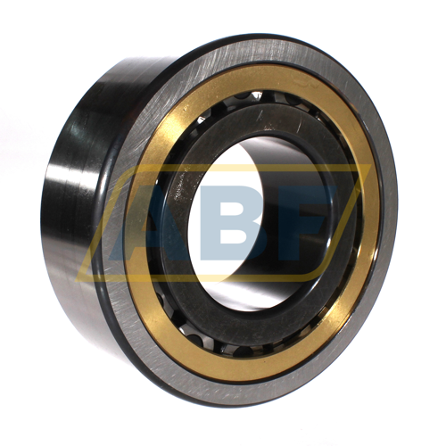 NJ2320-E-XL-MPAX-QP51-C4 FAG