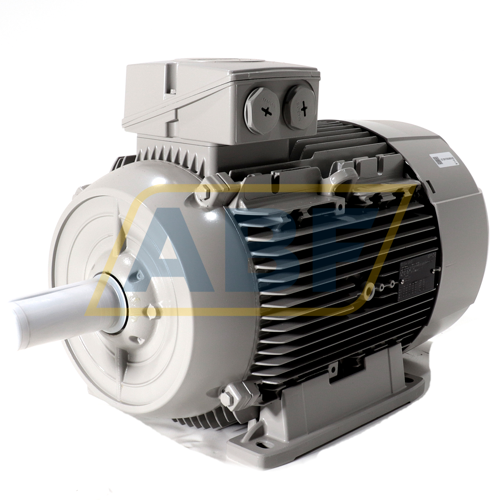 1LE1003-1DB43-4AA4 Siemens