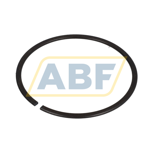 RG DIN5417-SP 100 FAG