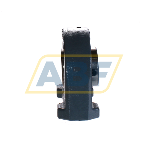 UCPA207 Asahi