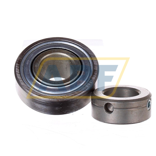 RAO12-NPP-FA106 INA
