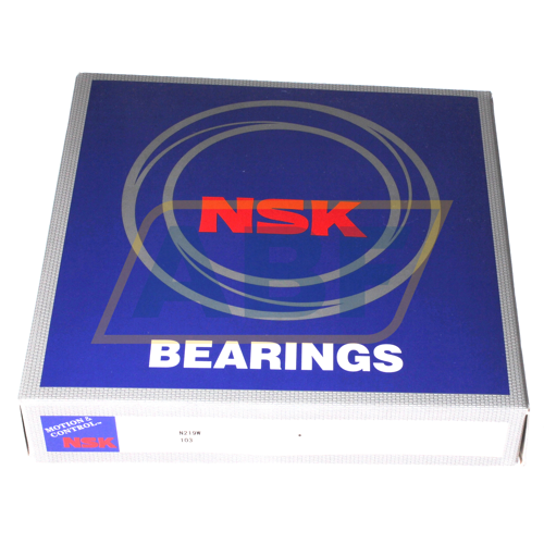 N219W NSK