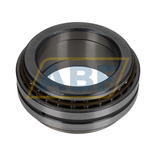 234413TN9/SP SKF