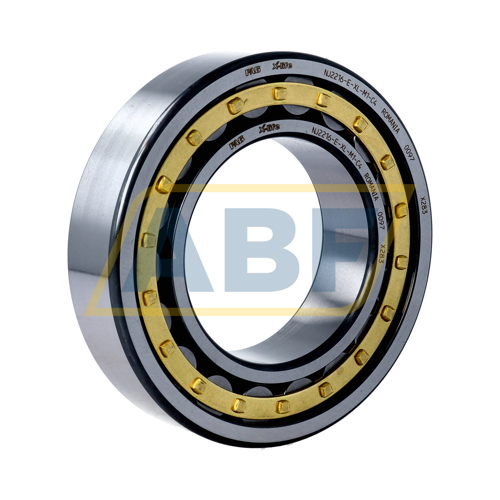 NJ2216-E-XL-M1-C4 FAG