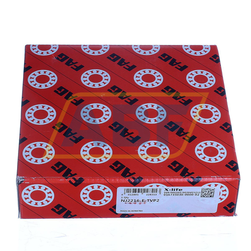 NJ2216E.TVP2 FAG