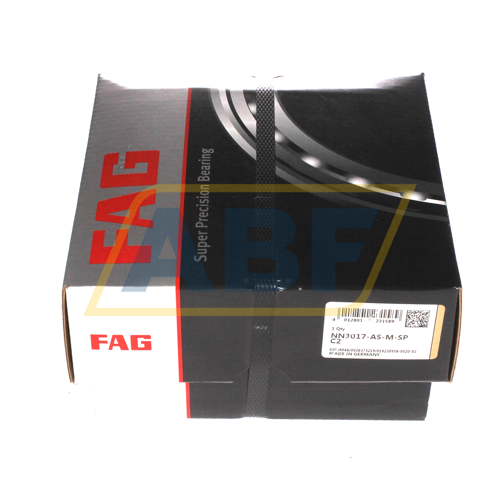 NN3017-AS-M-SP-C2 FAG