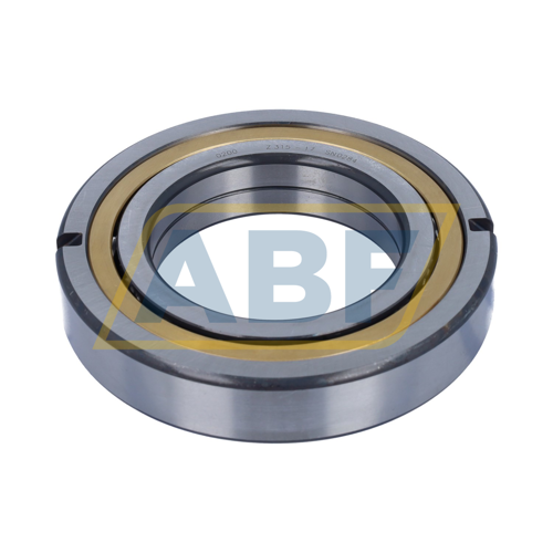 QJ216-XL-N2-MPA-F59-C4 FAG