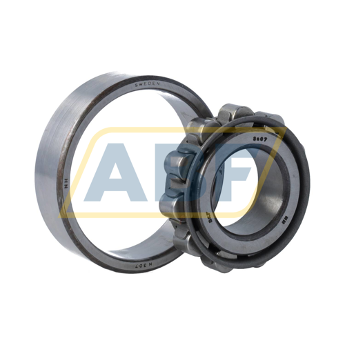 N307 SKF