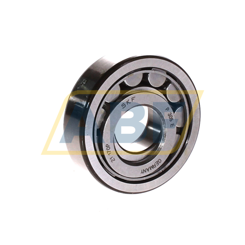 NUP305ECJ SKF