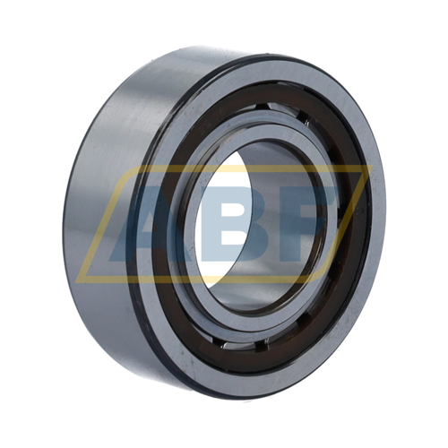 BC1-0313 SKF
