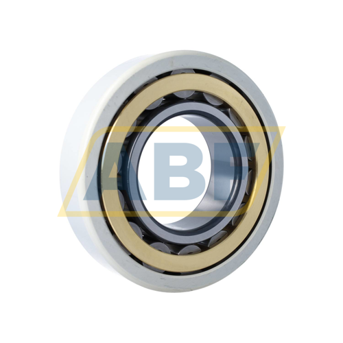 NU319-E-XL-M1-J20AA-C3 FAG