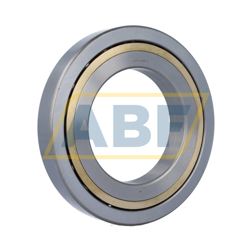 L23.1/2CDS2 Hoffmann