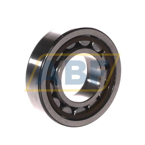 NJ206ECP/C3HVC058 SKF