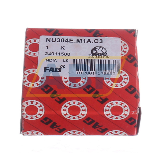 NU304E.M1A.C3 FAG