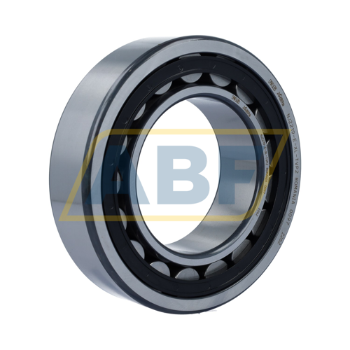 NJ2219-E-XL-TVP2 FAG