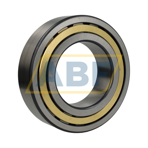 NJ2220-E-XL-M1-C3 FAG