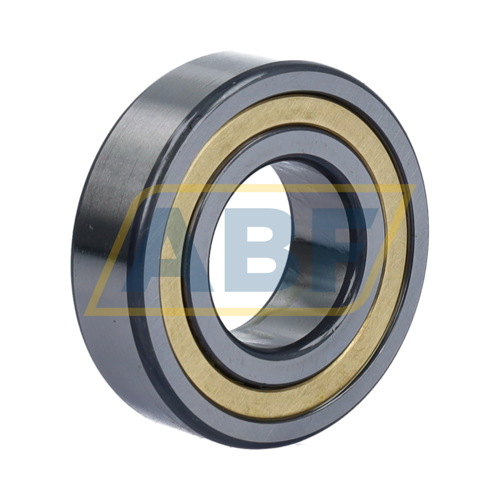 NJ205-E-XL-M1A-C3 FAG