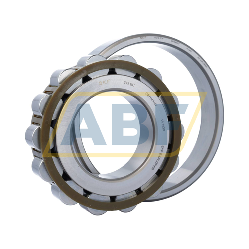 N319ECP SKF
